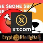 XT.com Exchange Lists ShibaSwap Bone