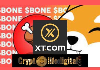 XT.com Exchange Lists ShibaSwap Bone
