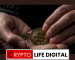 How To Trade Cryptocurrency For Profit: Smart Guide