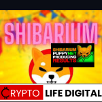 Shibarium Adds Another 100k Wallets