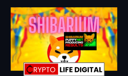 Shibarium Adds Another 100k Wallets, Representing A Surge Of 100% Within 24 Hours