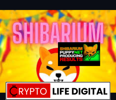 Shibarium Adds Another 100k Wallets, Representing A Surge Of 100% Within 24 Hours