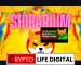 Shibarium Adds Another 100k Wallets, Representing A Surge Of 100% Within 24 Hours