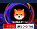 Great News! Shibarium Reaches 100K Wallets