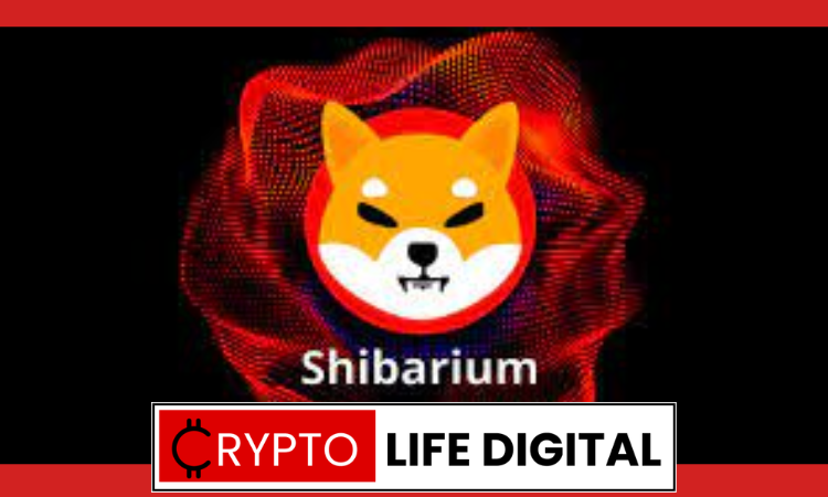 Shibarium Testnet chain ID Changed