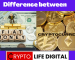 The Differences Between Fiat Money And Cryptocurrency