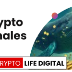 Crypto Whales