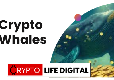 Crypto Whales: Understanding the Power and Influence of Large Crypto Holders