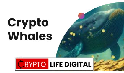 Crypto Whales: Understanding the Power and Influence of Large Crypto Holders