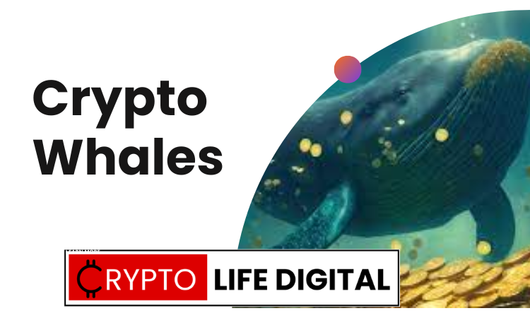 Crypto Whales