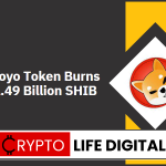 Koyo Token Burns 1.49 Billion SHIB