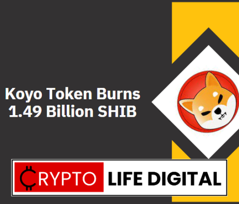 Shib Burn Rate Spikes Above 30,000% As Koyo Token Burns A Staggering 1.49 Billion SHIB