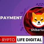 https://cryptolifedigital.com/wp-content/uploads/2023/04/NOWPayment-To-Integrate-Shibarium-33.png