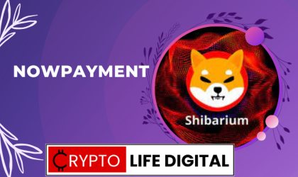 NOWPayments To Integrate Shibarium On Its Platform