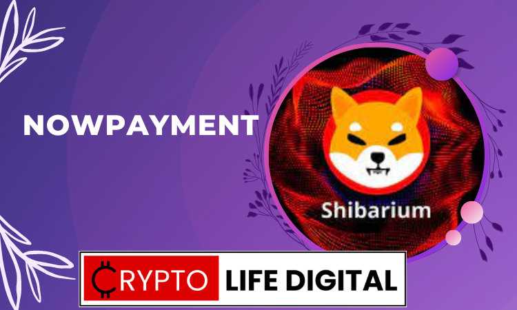 https://cryptolifedigital.com/wp-content/uploads/2023/04/NOWPayment-To-Integrate-Shibarium-33.png