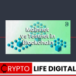 What Are The Differences Between Testnets And Mainnets In the Context Of Blockchain