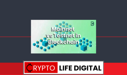 What Are The Differences Between Testnets And Mainnets In the Context Of Blockchain