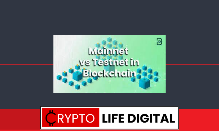 What Are The Differences Between Testnets And Mainnets In the Context Of Blockchain