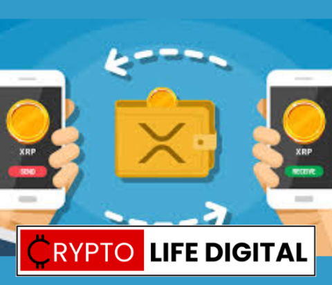 XRP Addresses Holding at Least $100K Shoots Beyond 13K