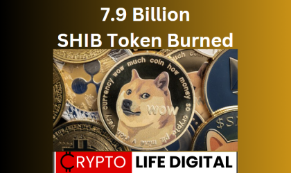 7.9 Billion SHIB Token Burned Since It jumped on New Project