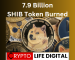 7.9 Billion SHIB Token Burned Since It jumped on New Project