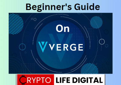 What is Verge: Beginners Guide