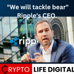 https://cryptolifedigital.com/wp-content/uploads/2023/05/We-are-ready-to-tackle-the-Bear-atmosphere-says-Ripples-CEO-1.png