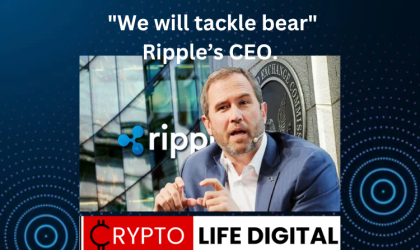 “I Am Incredibly Bullish about Ripple’s Interjectory” says Ripple’s CEO.