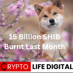 https://cryptolifedigital.com/wp-content/uploads/2023/06/15-Billion-SHIB-Burnt-Last-Month-1.png