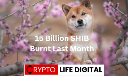 15 Billion Shiba Inu Burnt In May