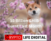 15 Billion Shiba Inu Burnt In May