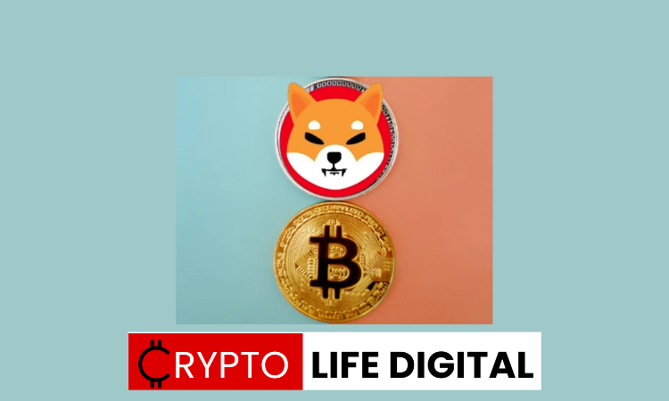 Bitcoin And SHIB Has Some Similarities 