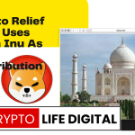 Crypto Relief India Uses Shiba Inu As A Contribution