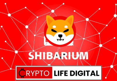 Shibarium Beta Testnet’s Puppynet Witnesses Remarkable Surge in Transaction Volume, Reaching 20.47 Million Transactions