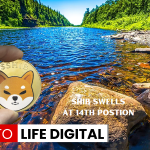 https://cryptolifedigital.com/wp-content/uploads/2023/06/SHIB-Swells-At-14th-Postion.png