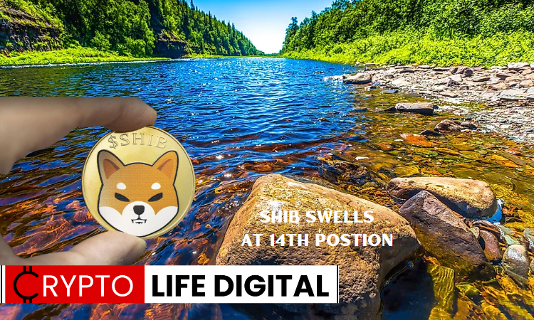 https://cryptolifedigital.com/wp-content/uploads/2023/06/SHIB-Swells-At-14th-Postion.png