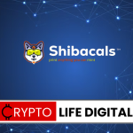 Shiba Inu Lead Developer Unveils Shibacals