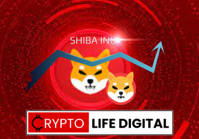 Shiba Inu’s Future Potential: Experts Predict Divergent Paths for the Popular Token