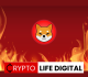 Shiba Inu Burn Rate Surges with Massive 650 Million SHIB Transaction
