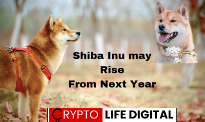 Shiba Inu May Rise at $0.0000225 According to Top Exchange