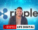 Tony Edward Foresees XRP Rally upon Bitcoin’s Retracement Peak, Hinging on Ripple Lawsuit Outcome