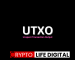 A Brief Guideline On The Unspent Transaction Output (UTXO)