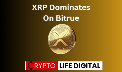 Most Staked Assets In Bitrue Is XRP