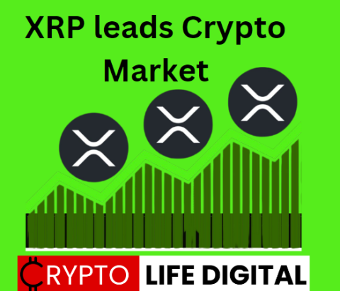  XRP Lead Crypto Market With 12.8% Increase