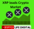  XRP Lead Crypto Market With 12.8% Increase