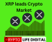  XRP Lead Crypto Market With 12.8% Increase