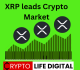  XRP Lead Crypto Market With 12.8% Increase
