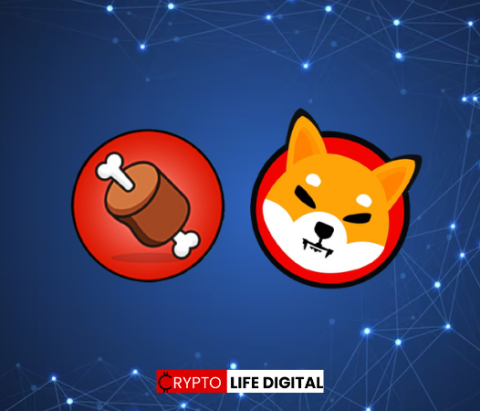 BONE (ShibaSwap Governance Token) Defies Bearish Trend Amidst Growing Excitement for Shibarium Launch