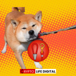 Bitrue Adds LEASH Token to its Platform, Completing the SHIB-Trifecta