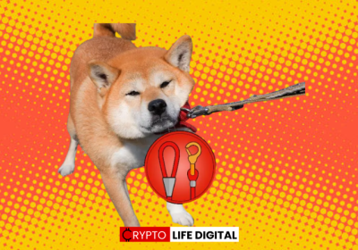 Bitrue Adds LEASH Token to its Platform, Completing the SHIB-Trifecta